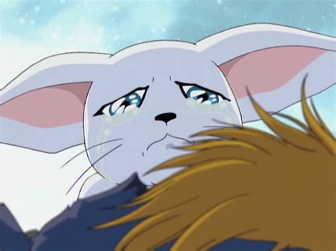 gatomon|gatomon crying.